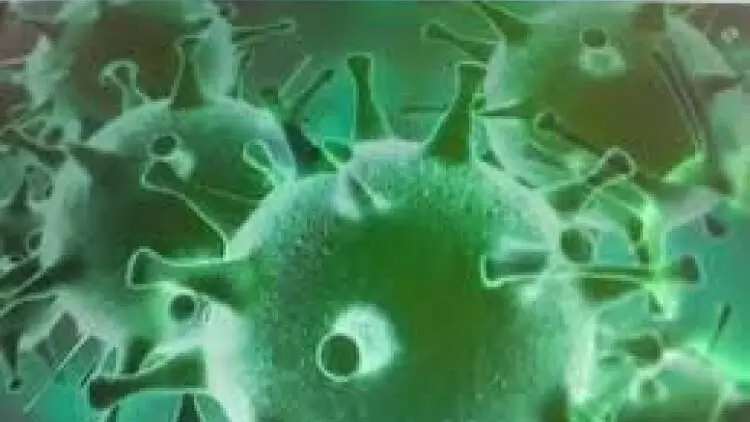 സൗദിയിൽ നേരിയ ആശ്വാസം; കോവിഡ് മുക്തരുടെ എണ്ണം ലക്ഷം കവിഞ്ഞു സൗദിയിൽ നേരിയ ആശ്വാസം; കോവിഡ് മുക്തരുടെ എണ്ണം ലക്ഷം കവിഞ്ഞു