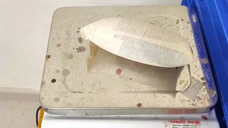 കരിപ്പൂരിൽ ചാർട്ടേഡ് വിമാനങ്ങളിൽ കടത്തിയ രണ്ട് കിലോ സ്വർണം പിടിച്ചെടുത്തു