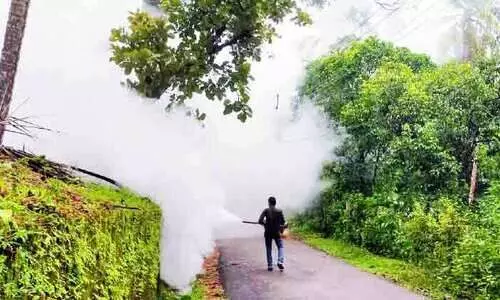 ജാഗ്രത വേണം, ഡെങ്കിപ്പനിയും അരികെ