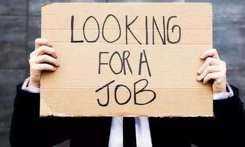 ജീവിക്കാൻ പുതുവഴി തേടി യുവതലമുറ