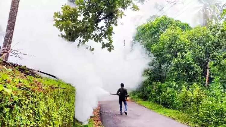 ജാഗ്രത വേണം, ഡെങ്കിപ്പനിയും അരികെ