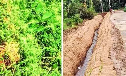 കയർ ഭൂവസ്ത്രമണിഞ്ഞ്​ തൊപ്പിപ്പാള–കാഞ്ഞിരംപടി തോട്