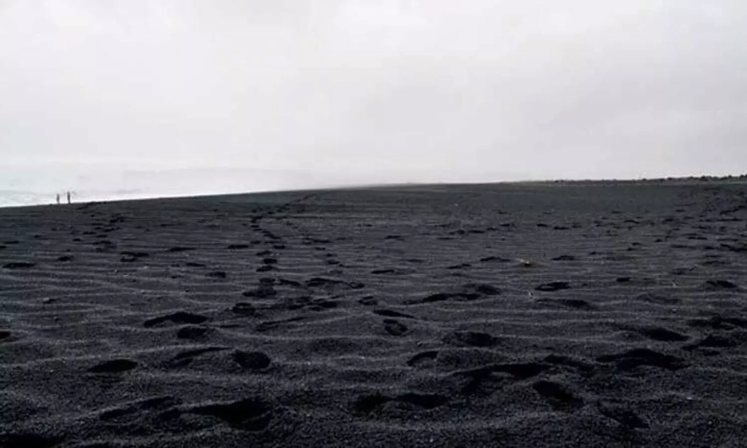 കെ.​എം.​എം.​എ​ല്ലിന്‍റെ ക​രി​മ​ണ​ൽ ഖ​ന​നം കോ​ട​തി ഉ​ത്ത​ര​വു​ണ്ടെ​ന്ന് തെ​റ്റി​ദ്ധ​രി​പ്പി​ച്ച്​