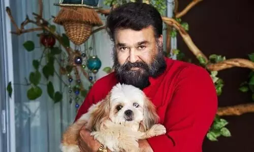 നടന്‍ മോഹന്‍ലാല്‍ പ്രതിയായ ആനക്കൊമ്പ്  കേസിൽ കോടതി വാദം കേട്ടു