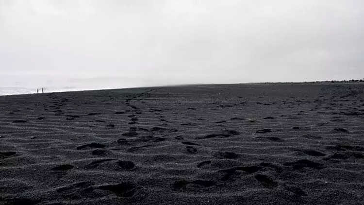 കെ.എം.എം.എല്ലിന്റെ കരിമണൽ ഖനനം കോടതി ഉത്തരവുണ്ടെന്ന് തെറ്റിദ്ധരിപ്പിച്ച് കെ.എം.എം.എല്ലിന്റെ കരിമണൽ ഖനനം കോടതി ഉത്തരവുണ്ടെന്ന് തെറ്റിദ്ധരിപ്പിച്ച്