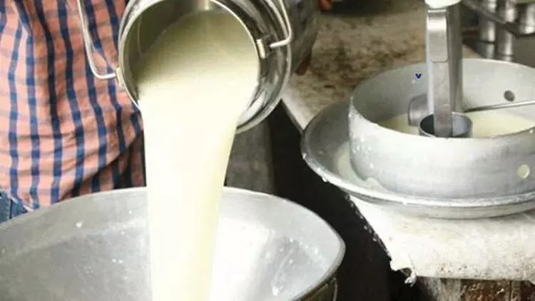 സുഭിക്ഷ കേരളം: ക്ഷീരവിപ്ലവത്തിന് ആലപ്പുഴ സുഭിക്ഷ കേരളം: ക്ഷീരവിപ്ലവത്തിന് ആലപ്പുഴ