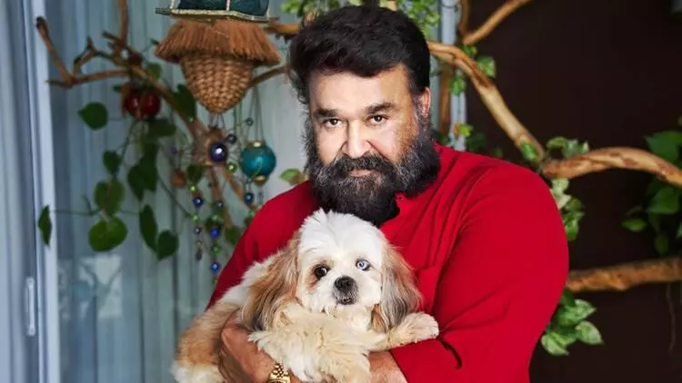 നടന് മോഹന്ലാല് പ്രതിയായ ആനക്കൊമ്പ് കേസിൽ കോടതി വാദം കേട്ടു നടന് മോഹന്ലാല് പ്രതിയായ ആനക്കൊമ്പ് കേസിൽ കോടതി വാദം കേട്ടു