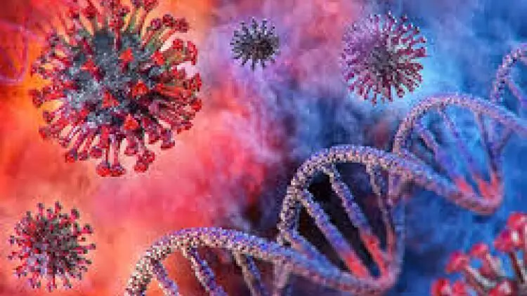 കോവിഡ്: ബഹ്റൈനിൽ രണ്ടുപേർ കൂടി മരിച്ചു കോവിഡ്: ബഹ്റൈനിൽ രണ്ടുപേർ കൂടി മരിച്ചു