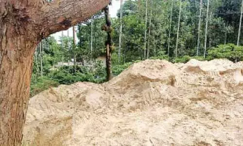 കോടികളുടെ മണൽക്കൊള്ള; അന്വേഷണം വേണമെന്ന്​ സമിതി