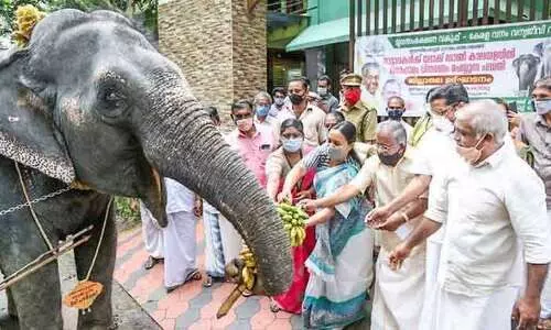നാരായണന്‍കുട്ടി സംതൃപ്​തൻ: പ​ഴക്കുല നൽകിയത്​ മന്ത്രിതന്നെ