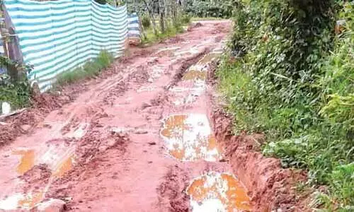 പഞ്ചായത്തിന്​ മൗനം; ദുരിതം പേറി ഗ്രാമം