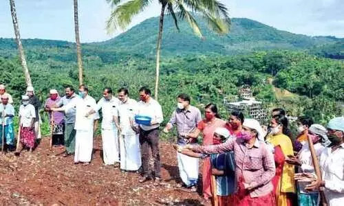 കാര്‍ഷിക സംസ്‌കൃതി വീണ്ടെടുപ്പിന്​ മഴപ്പൊലിമയുമായി കുടുംബശ്രീ