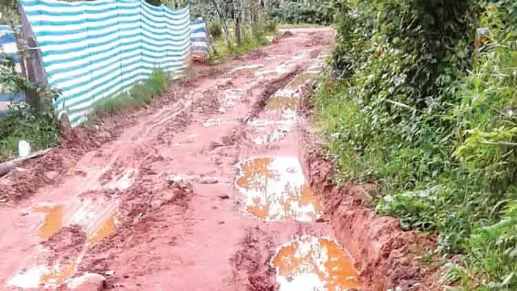 പഞ്ചായത്തിന് മൗനം; ദുരിതം പേറി ഗ്രാമം പഞ്ചായത്തിന് മൗനം; ദുരിതം പേറി ഗ്രാമം