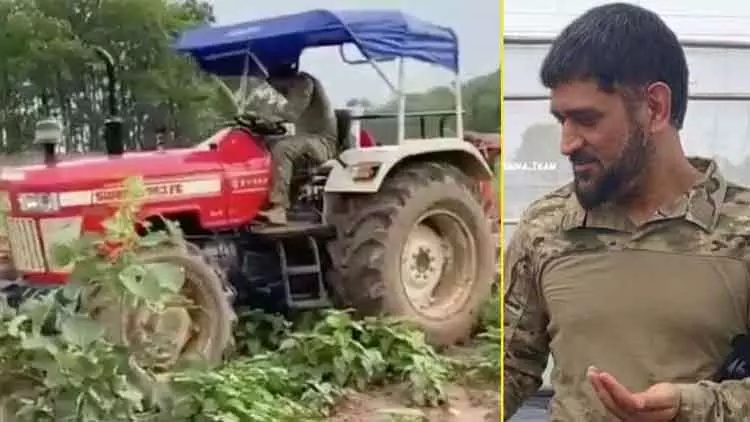 ക്രിക്കറ്റില്ലെങ്കിലെന്താ; കൃഷിയിടത്തിൽ രണ്ടാം ഇന്നിങ്​സിന്​ തുടക്കമിട്ട്​ ധോണി