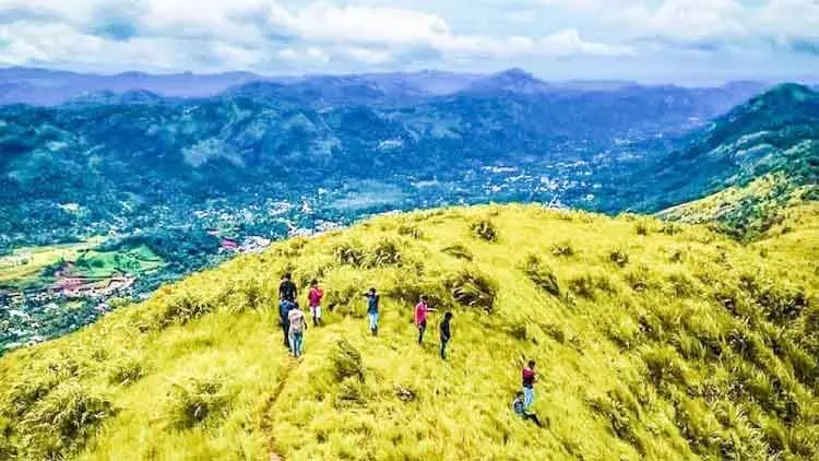 കാഴ്​ചകളുടെ സ്വപ്നഭൂമിയായി പെട്ടിമുടി