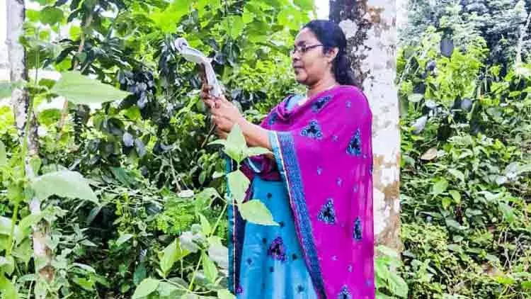 നെറ്റ്വർക്കിന് ഷൈനു ടീച്ചർക്ക് ആശ്രയം റബർതോട്ടം നെറ്റ്വർക്കിന് ഷൈനു ടീച്ചർക്ക് ആശ്രയം റബർതോട്ടം