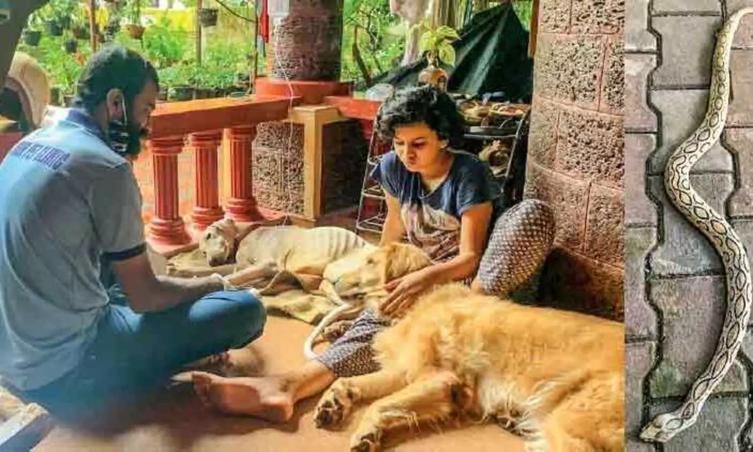 ഭഗീര ജീവിതത്തിലേക്ക് മടങ്ങി; കണ്ണടക്കാതെ അടുത്തുണ്ട് അകീലയും ജിപ്സിയും