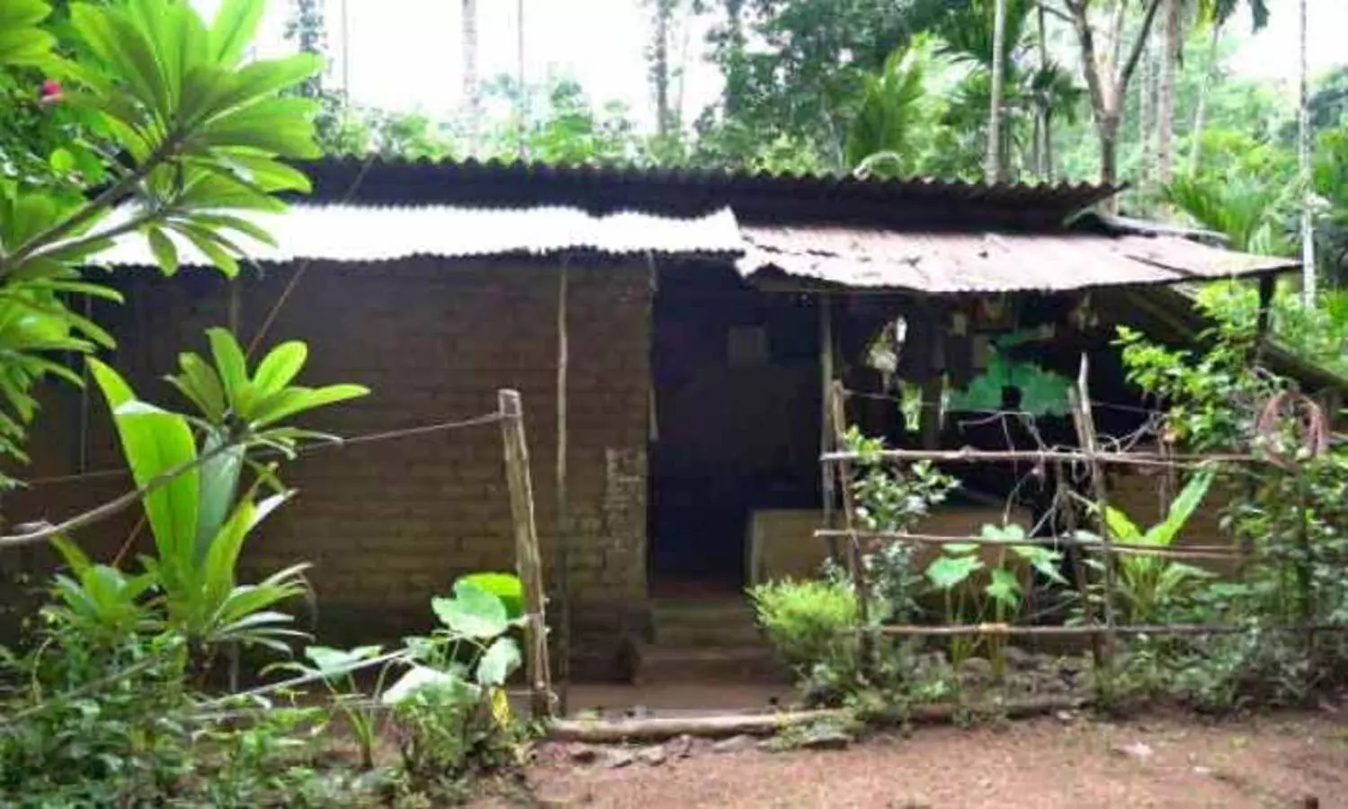 കാടാണ് ഈ കുടുംബങ്ങളുടെ വീട്