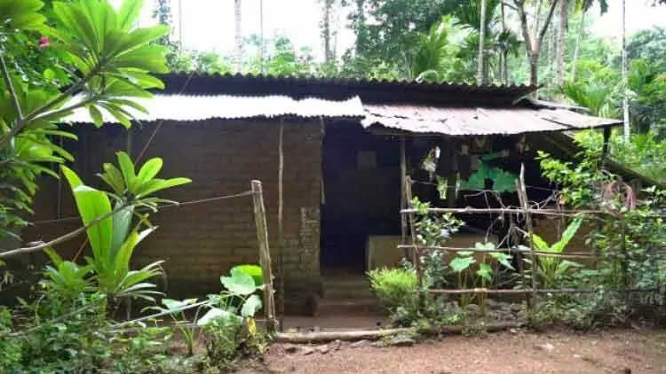 കാടാണ് ഈ കുടുംബങ്ങളുടെ വീട് കാടാണ് ഈ കുടുംബങ്ങളുടെ വീട്