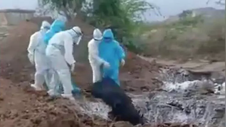 കർണാടകയിൽ കോവിഡ് രോഗികളുടെ മൃതദേഹങ്ങൾ ഒന്നിച്ച് കുഴിച്ചുമൂടി കർണാടകയിൽ കോവിഡ് രോഗികളുടെ മൃതദേഹങ്ങൾ ഒന്നിച്ച് കുഴിച്ചുമൂടി