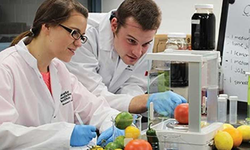 എൻജിനീയറിങ്ങിന്‍റെ പുതി‍യ മുഖം