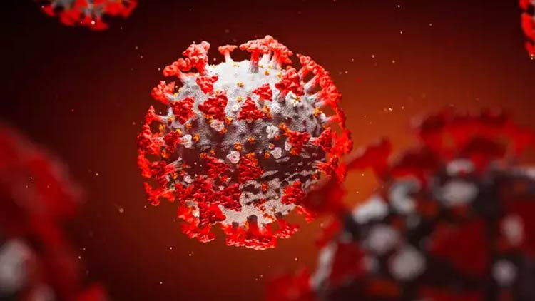 സൗദി അറേബ്യയിൽ ഇന്ന് 1528 രോഗമുക്തർ; 1413 പുതിയ രോഗികൾ സൗദി അറേബ്യയിൽ ഇന്ന് 1528 രോഗമുക്തർ; 1413 പുതിയ രോഗികൾ