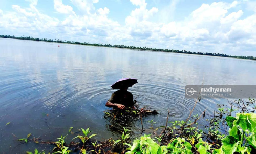 ക​തി​ര​ണി​യി​ക്കാ​ൻ...