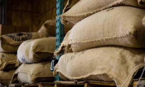 ചെള്ളുകൾ കണ്ടെത്തിയ റേഷനരി ഭക്ഷ്യയോഗ്യമ​െല്ലന്ന് പരിശോധന ഫലം