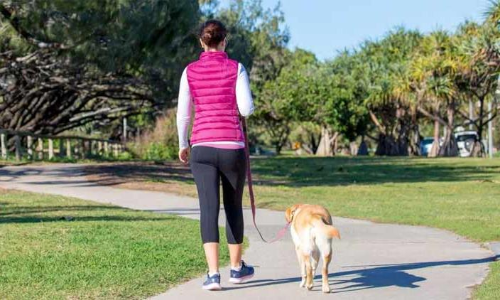 ഒരു ദിവസം നിങ്ങൾ എത്ര ദൂരം നടക്കാറുണ്ട്​...