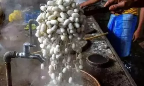 മൂന്നു ദശകത്തിന് ശേഷം കശ്മീർ പട്ടിന്‍റെ പറുദീസയാകുന്നു