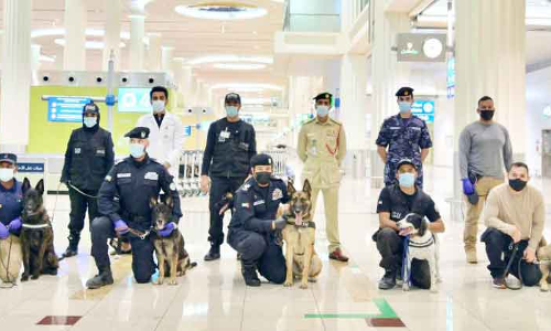 കോ​വി​ഡ്​ ബാ​ധി​ത​രെ മ​ണ​ത്ത​റി​യാ​ൻ പൊ​ലീ​സ്​ നാ​യ്​​ക്ക​ൾ