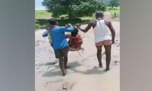 റോഡുമില്ല, ആംബുലൻസുമില്ല; ചത്തീസ്ഗഢിൽ ഗർഭിണിയെ കൊട്ടയിൽ ചുമന്ന് ആശുപത്രിയിലെത്തിച്ചു