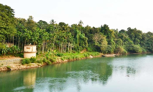 ഇരുവഴിഞ്ഞിപ്പുഴ പിണങ്ങിയാൽ ഇൗ നാട്​ മുങ്ങും; ചേന്ദമംഗല്ലൂരിലെ പ്രളയ കാഴ്​ചകൾ ഒപ്പിയെടുത്ത്​ കൊങ്ങമ്പള്ളം