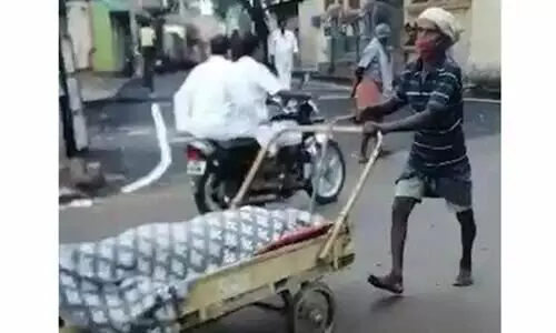 covid death covid death