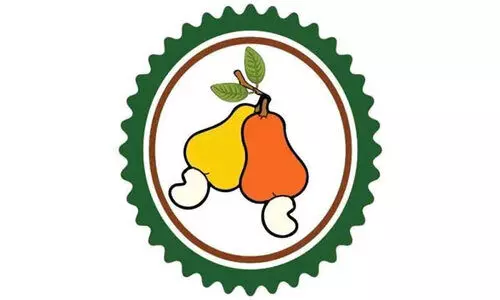 കശുവണ്ടി കർഷകർക്കും കച്ചവടക്കാർക്കുമായി ആപ്​