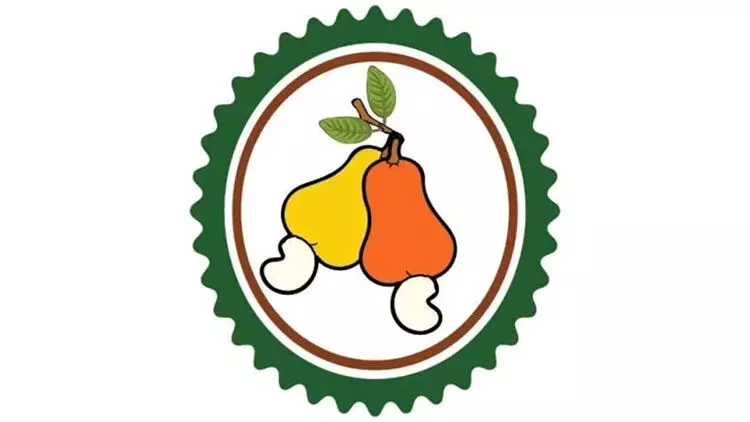 കശുവണ്ടി കർഷകർക്കും കച്ചവടക്കാർക്കുമായി ആപ്​