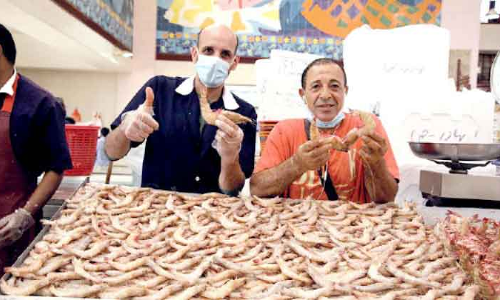 കുവൈത്ത്: ഏഴുമാസത്തിനു​ശേഷം ചെമ്മീൻ എത്തി; 20 കിലോ 50 ദീനാർ