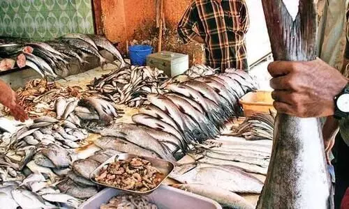 കോവിഡ് നിയന്ത്രണം ലംഘിച്ച് മത്സ്യവ്യാപാരം; മൂന്നുപേർക്കെതിരെ കേസ്​