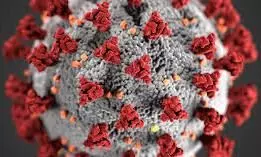 കുവൈത്തിൽ 388 പേർക്ക് കൂടി കോവിഡ്; 526 പേർക്ക് രോഗമുക്തി കുവൈത്തിൽ 388 പേർക്ക് കൂടി കോവിഡ്; 526 പേർക്ക് രോഗമുക്തി