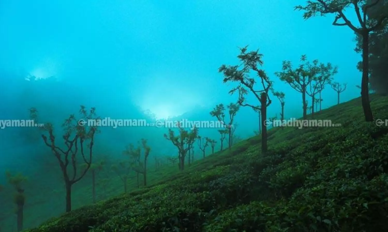 കിണ്ണക്കോരൈയിലെ മതിവരാത്ത കാഴ്​ചകൾ