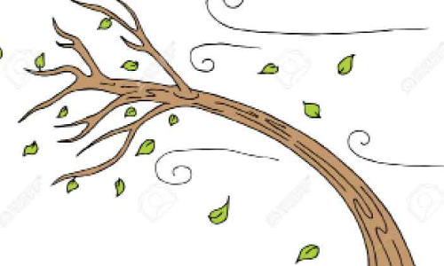 ശ​ക്ത​മാ​യ കാ​റ്റി​ന് സാ​ധ്യ​ത; ജാ​ഗ്ര​ത പാ​ലി​ക്ക​ണം