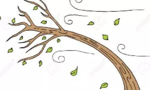 ശ​ക്ത​മാ​യ കാ​റ്റി​ന് സാ​ധ്യ​ത; ജാ​ഗ്ര​ത പാ​ലി​ക്ക​ണം