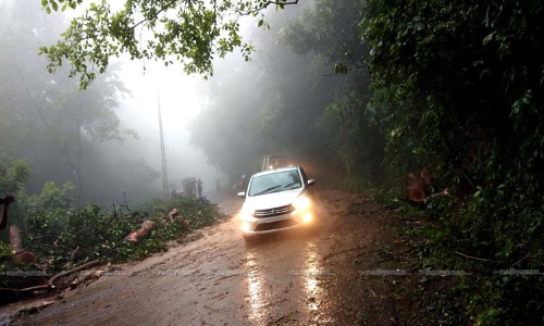 വയനാട്​