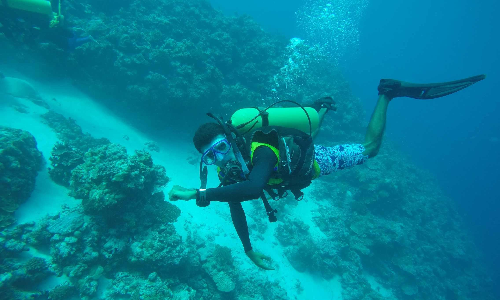 ആഴക്കടലിലെ കൂട്ടുകാര്‍