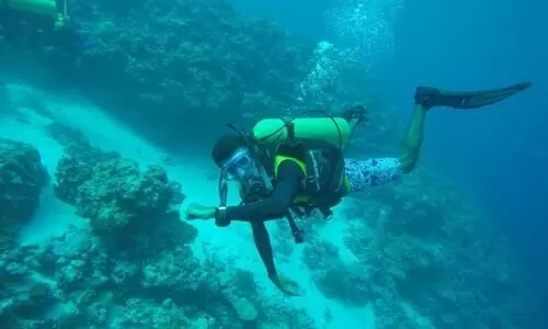 ആഴക്കടലിലെ കൂട്ടുകാര്‍