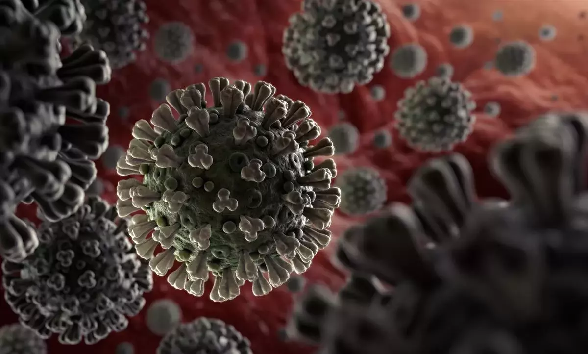 സൗദി അറേബ്യയിൽ കോവിഡ്​ ടെസ്​റ്റുകൾ 35 ലക്ഷം കവിഞ്ഞു