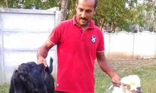 അബ്​ദുല്ല ഇനി ആടുകളുടെ കമാൻഡർ