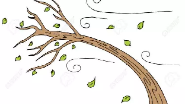 ശക്തമായ കാറ്റിന് സാധ്യത; ജാഗ്രത പാലിക്കണം ശക്തമായ കാറ്റിന് സാധ്യത; ജാഗ്രത പാലിക്കണം