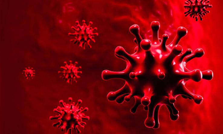 കോവിഡ്: ഖത്തറിൽ 216 പുതിയരോഗികൾ കോവിഡ്: ഖത്തറിൽ 216 പുതിയരോഗികൾ