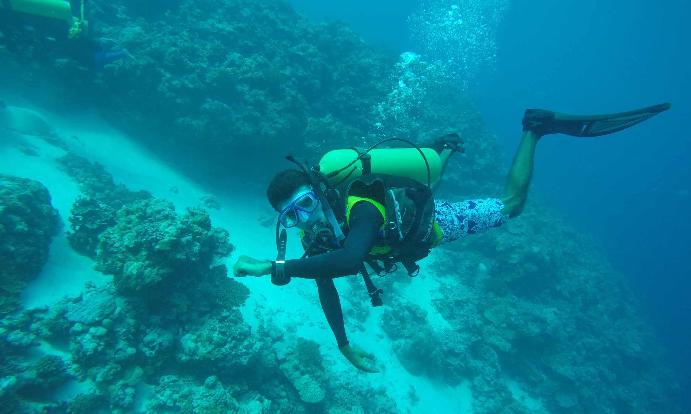 ആഴക്കടലിലെ കൂട്ടുകാര് ആഴക്കടലിലെ കൂട്ടുകാര്